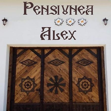 Pensiunea Alex Marga エクステリア 写真