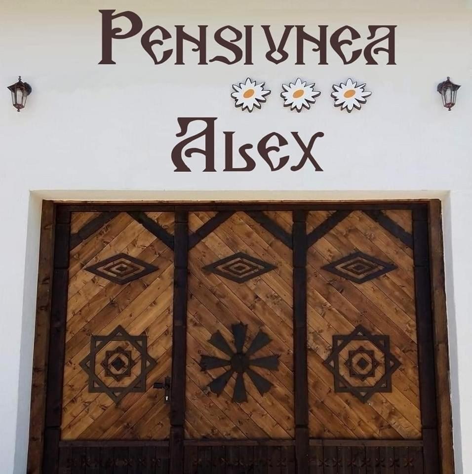 Pensiunea Alex Marga エクステリア 写真